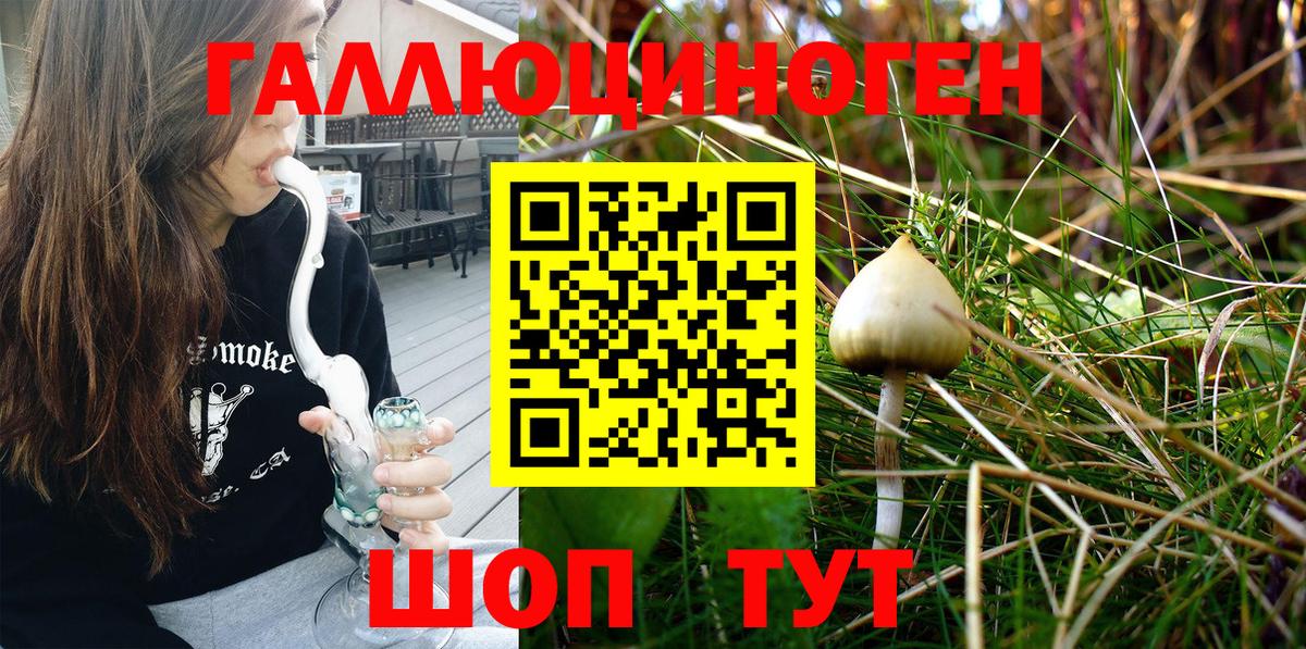 Псилоцибиновые грибы Magic Shrooms  Вход с VPN  Тамбов 
