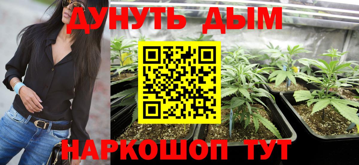 Бошки Шишки тримм  МАРИХУАНА конопля  Вход с VPN  Тамбов 
